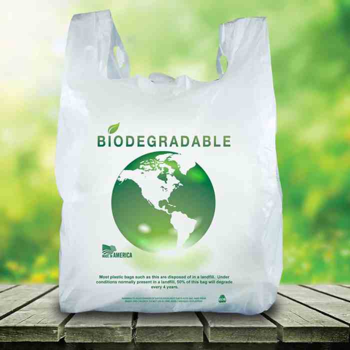 Everything You Should Know About Biodegradable Bags - c82packet Everything You Should Know About Biodegradable Bags - c82packet