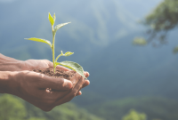 New biodegradable plastic developed by scientists New biodegradable plastic developed by scientists