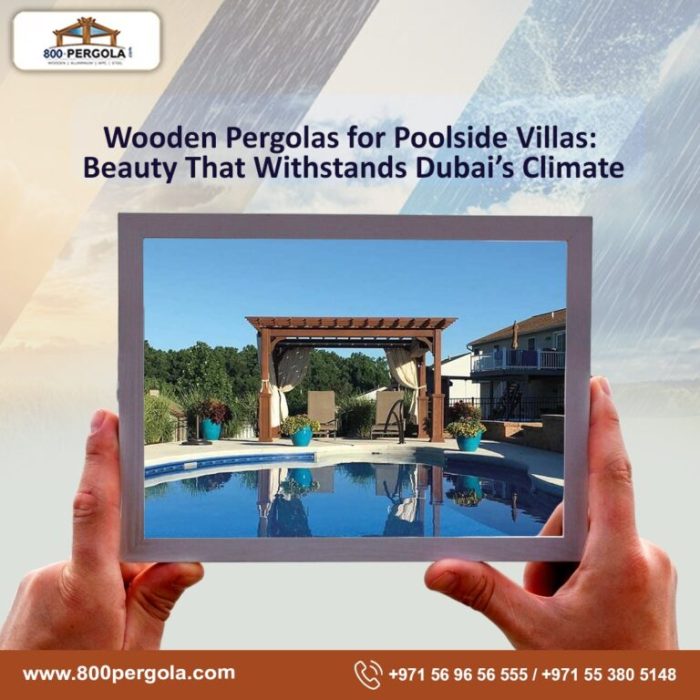 Large Window Blinds Choice | Window Treatments Design Ideas